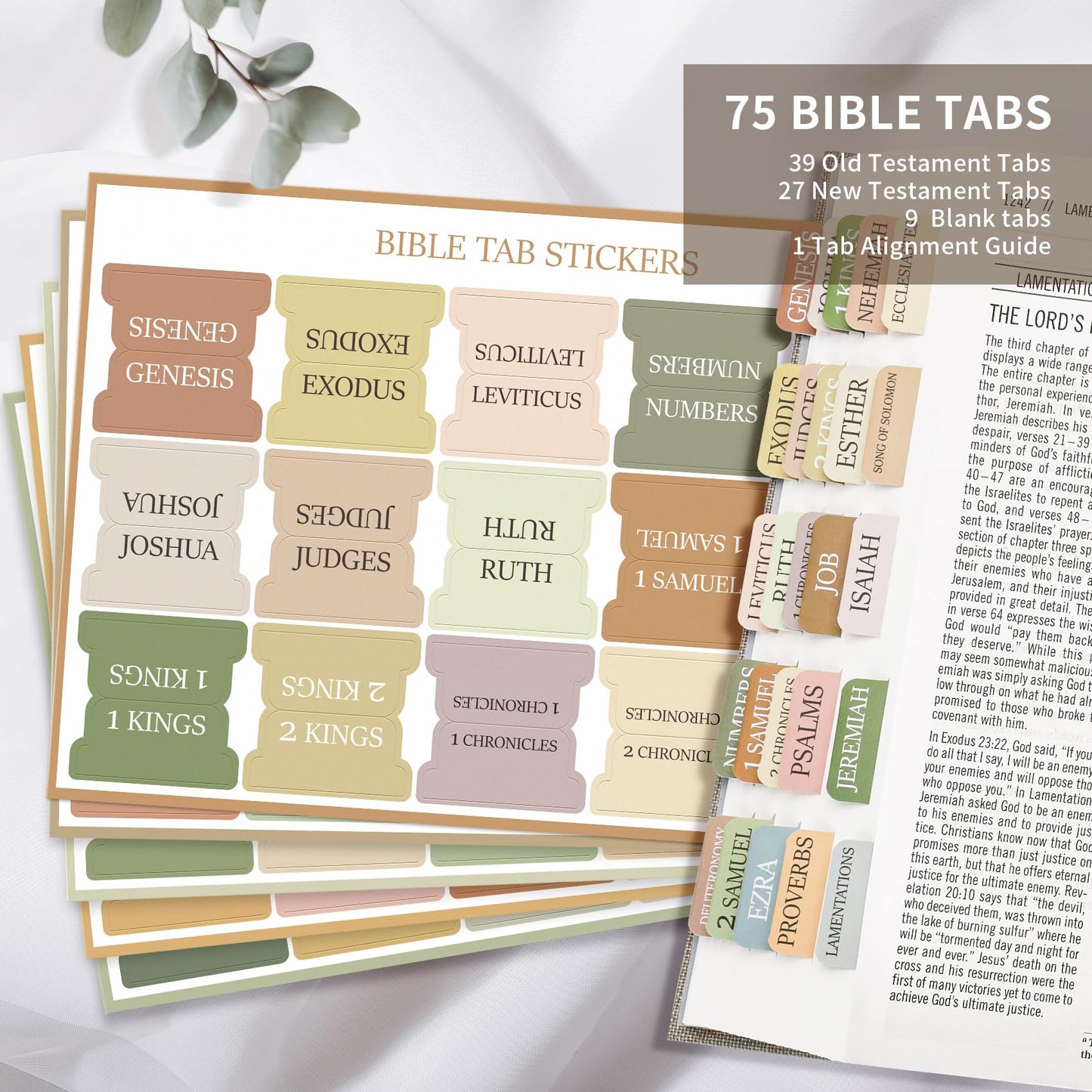 Large Print Laminated Bible Tabs for Easy Navigation