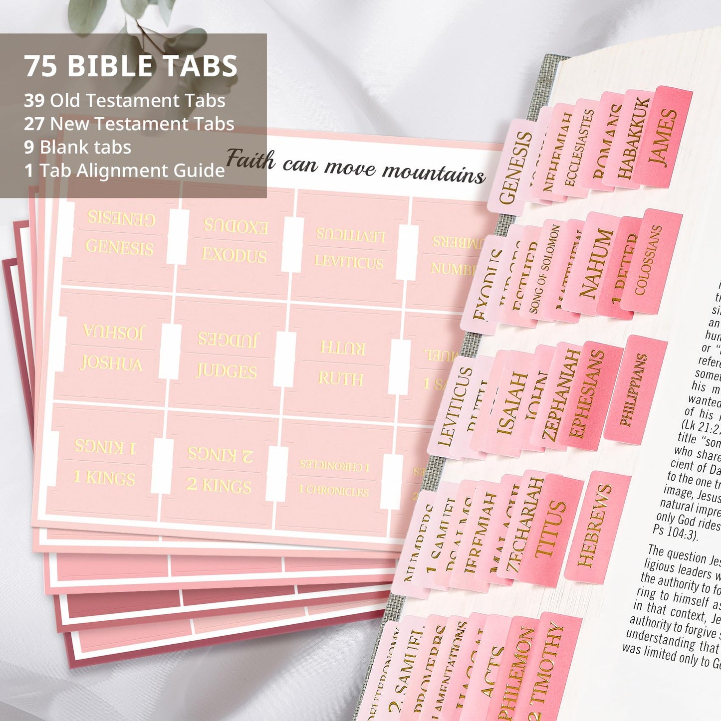 Large Print Laminated Bible Tabs for Easy Navigation